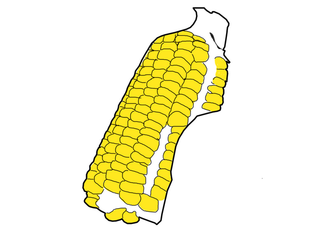 corn2.png