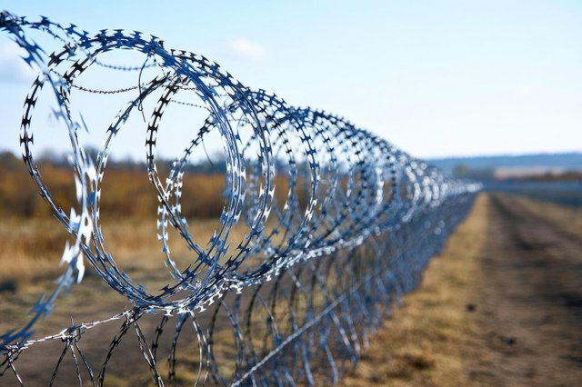 barbed-wire-fence-creating-a-secure-border-line-under-blue-sky-free-photo.jpg