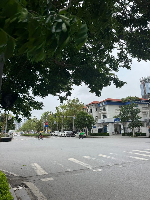 IMG_9016.jpeg