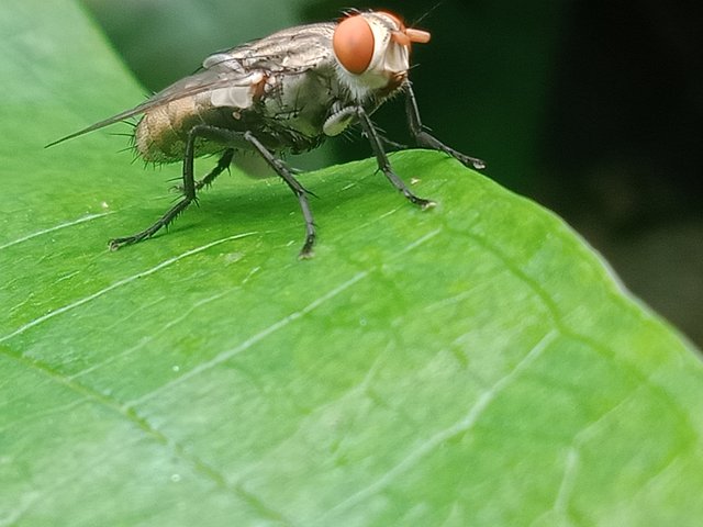 IMG20250925100124.jpg