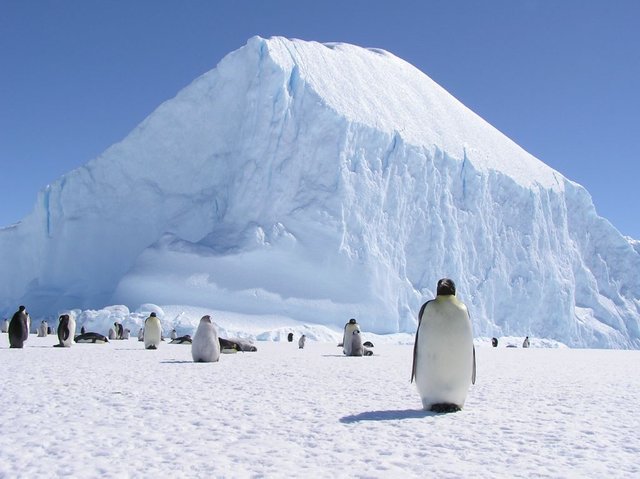 antarctic.jpg