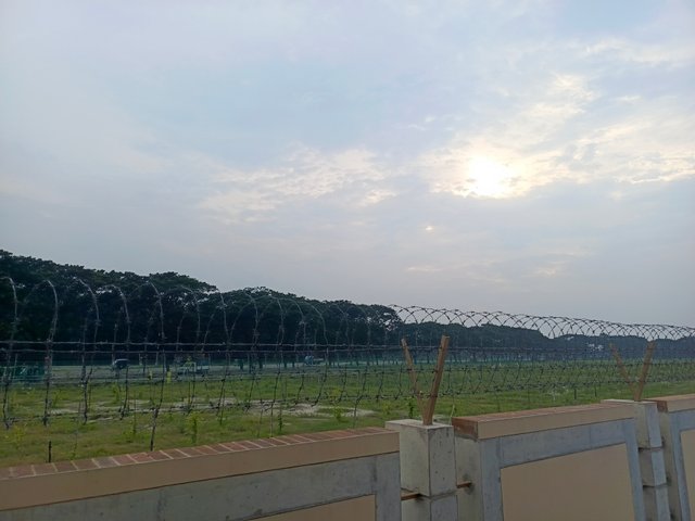 1000008675.jpg