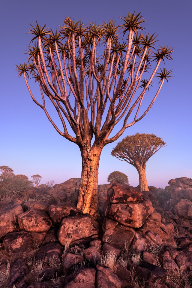 Namibia-3.jpg