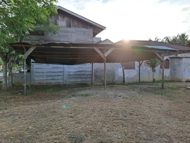 20250703_175510.jpg