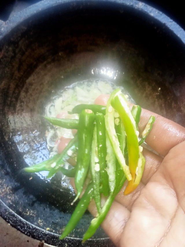 IMG20250214091106.jpg