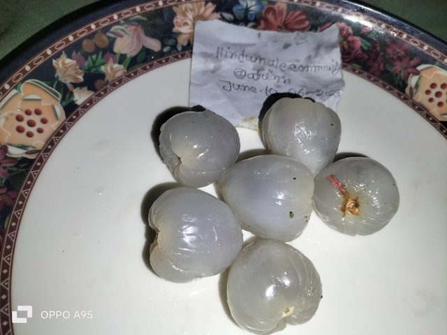IMG20250610212813.jpg
