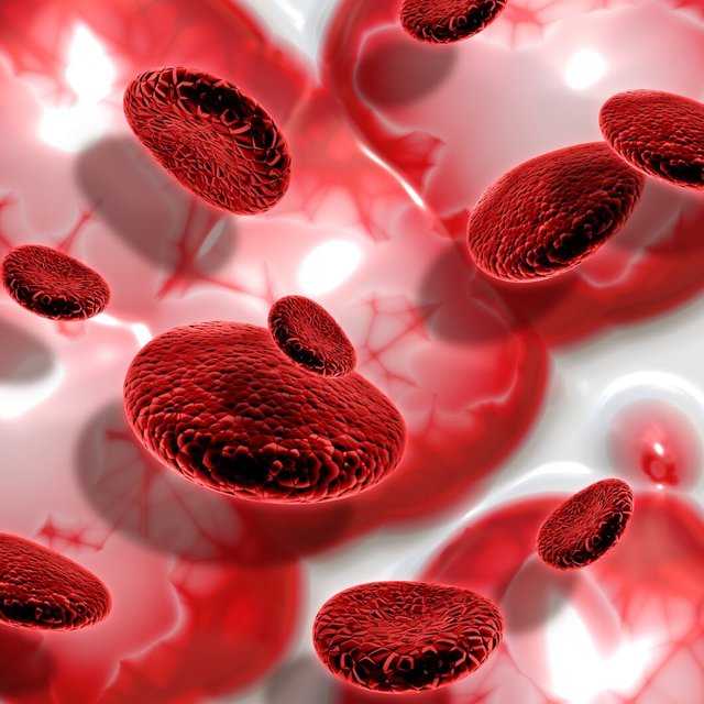 3d-render-blood-cells-abstract-background_1048-6338.jpg