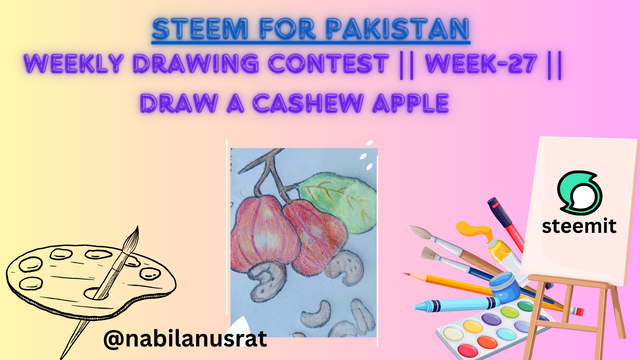 Weekly Drawing Contest  Week-27  Draw a Cashew Apple.png