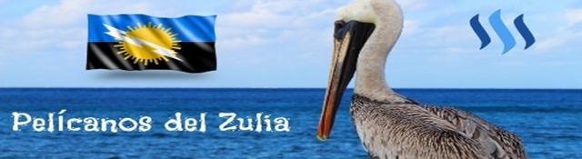 Pelicanos del Zulia.png