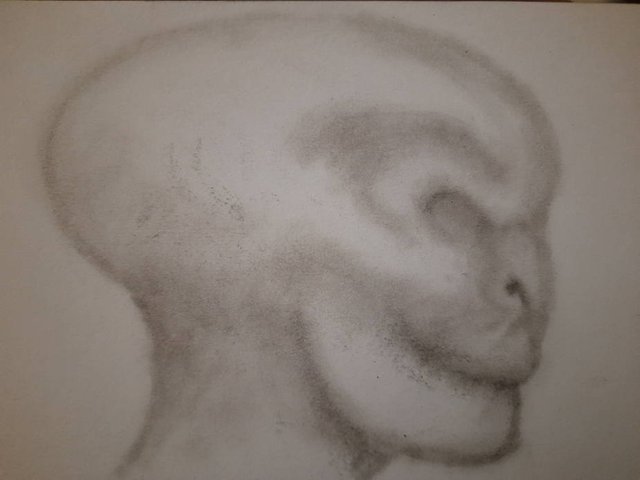 20250724_103916.jpg