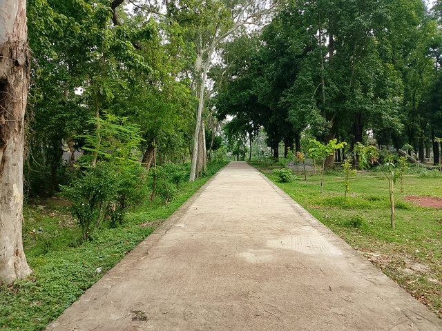 1000038257.jpg