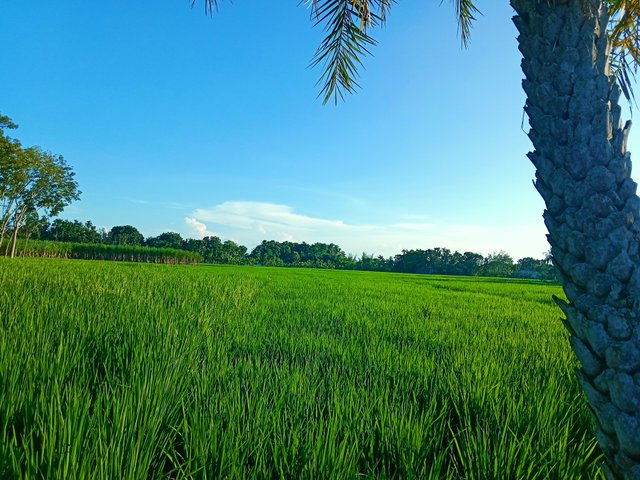 IMG_20250926_192649.jpg
