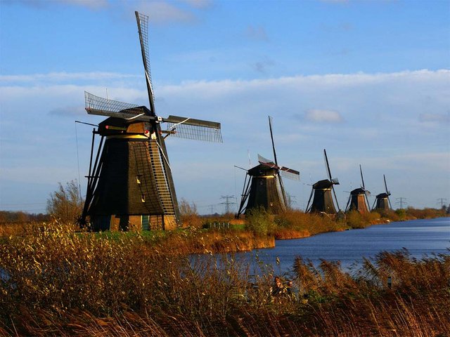 Os Velhos Moinhos De Vento Holandeses, A Holanda, As Extensões Rurais.  Moinhos De Vento, O Símbolo Da Holanda. Moinho De Vento Holandês Em Um  Canal. Antigo Giz De Moinho E Farinha. O