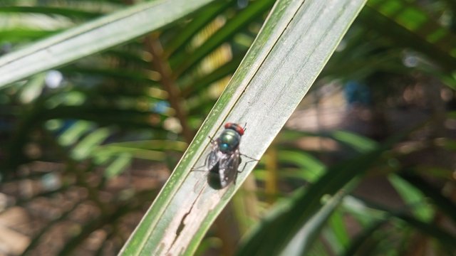 IMG20250530110807.jpg