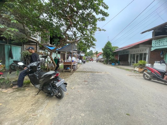IMG_0267.jpeg