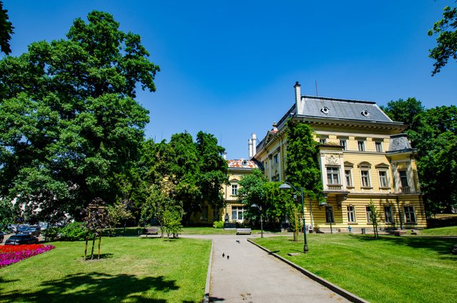 DSC_0027.jpg