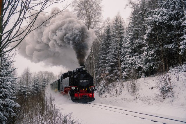 Alishan Forest Railway.jpg