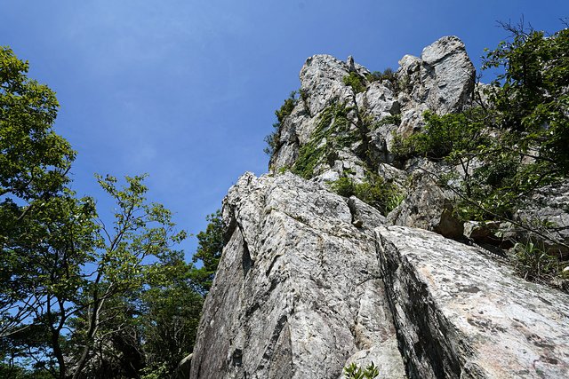 b-DSC08236.JPG