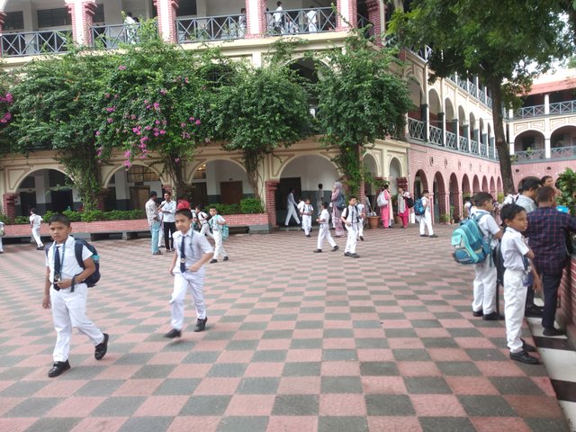 IMG_20250917_115437.jpg