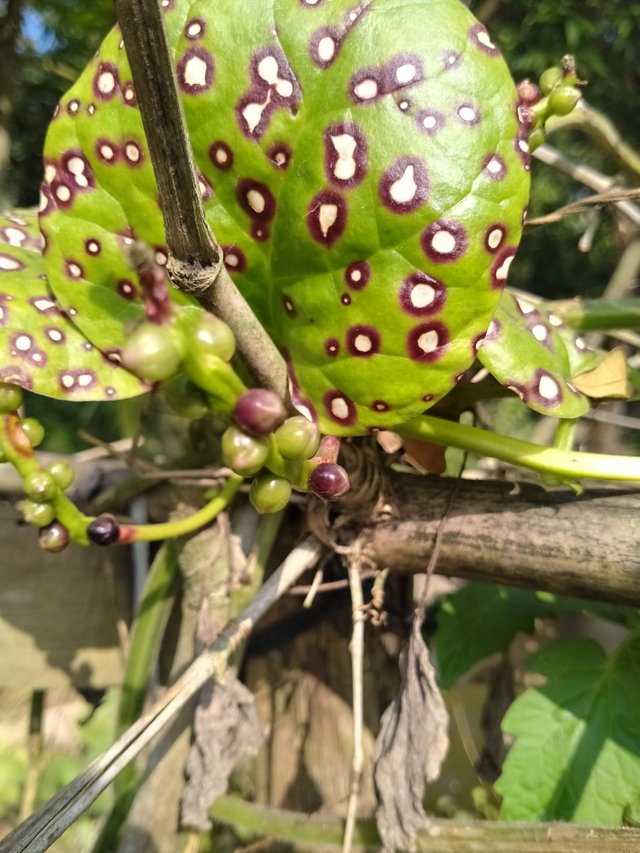 IMG20220105140352.jpg