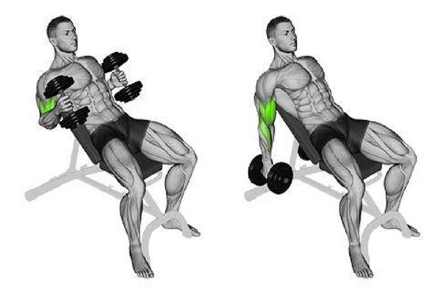 Incline Dumbbell Hammer Curl.JPG