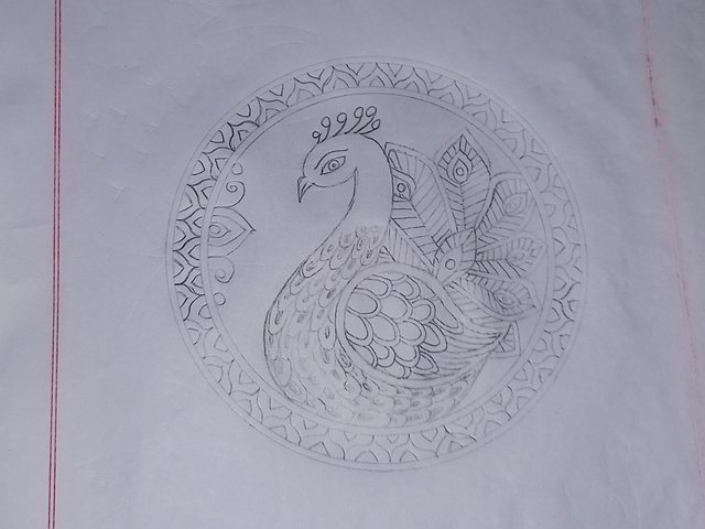 20250712_114650.jpg