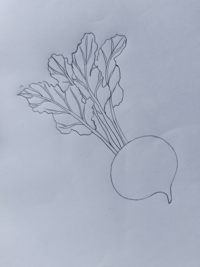1000057761.jpg