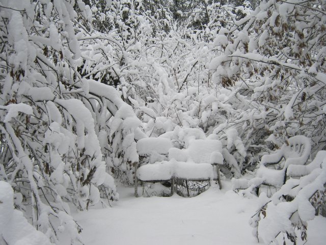lots of snow on chairs in sunken garden.JPG