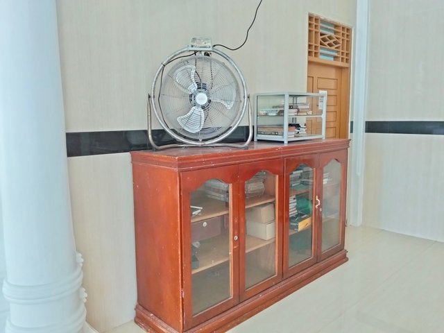6875.jpg