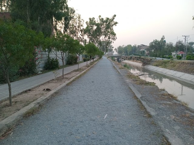 20250619_052510.jpg