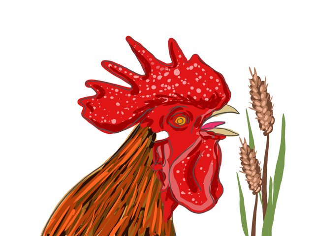 rooster(698).jpg