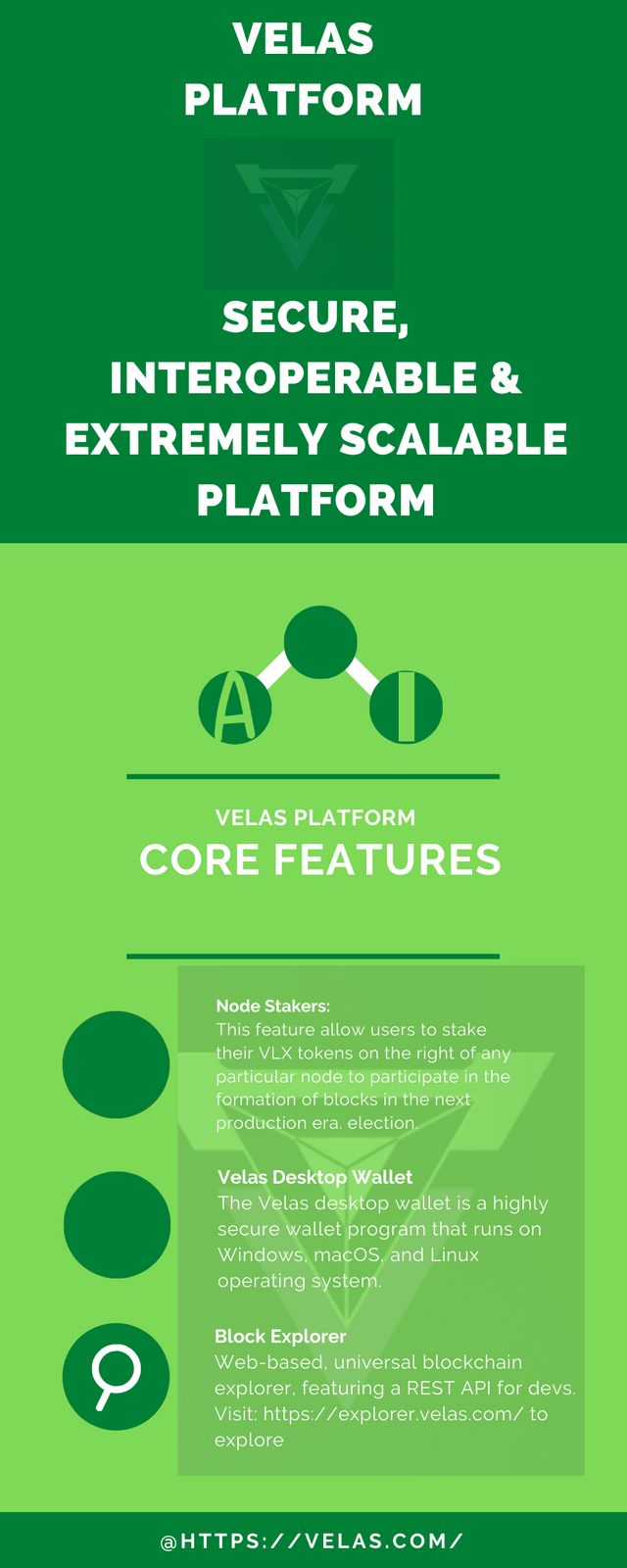 Twitter Business Social Media Infographic.png