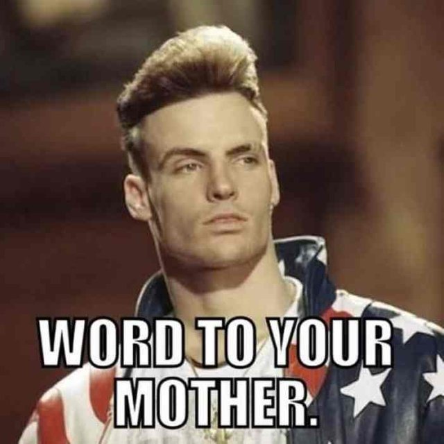 vanilla-ice-word-to-your-mother.jpg