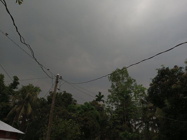 IMG_20250415_133240_631.jpg