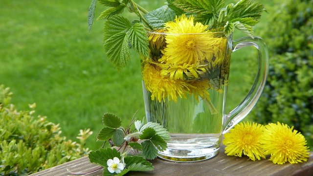dandelion-2232626_1280.jpg