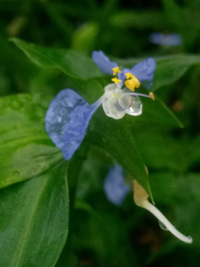 IMG_20250705_100513.