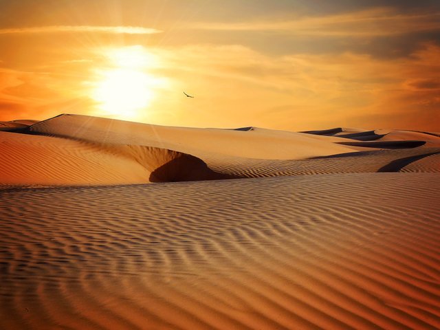 desert-790640.jpg