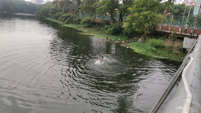 IMG_20240608_162305.jpg