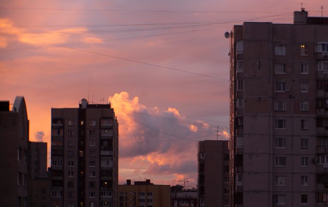 DSC05712.jpg