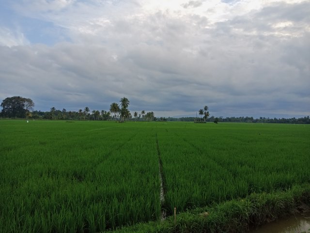 IMG20221222173453.jpg