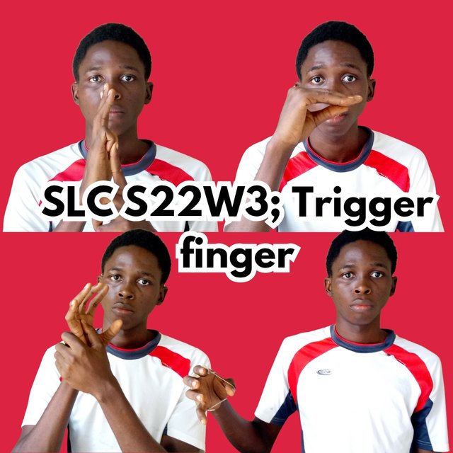 Trigger finger_20250105_024409_0000.jpg