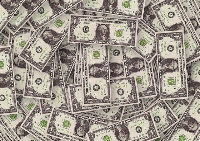 dollar-499478_640.jpg