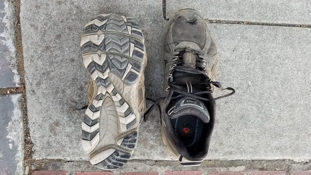 trailshoe.jpg