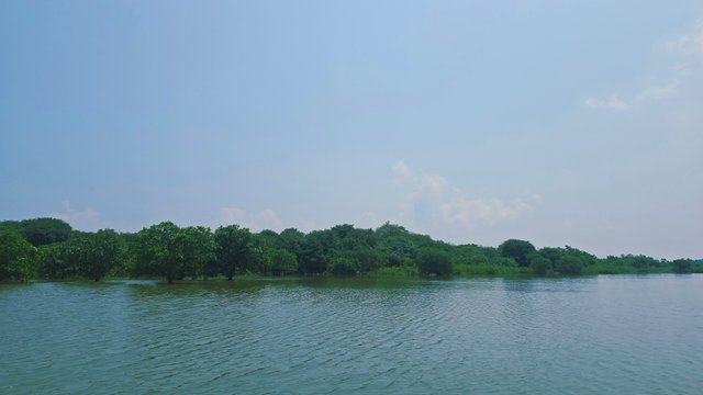 20250609_103439.jpg