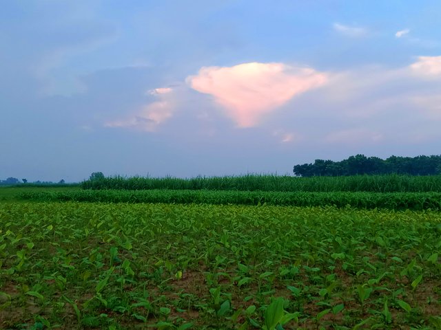 IMG_20250622_200931.jpg