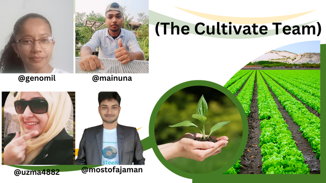 (The Cultivate Team).png