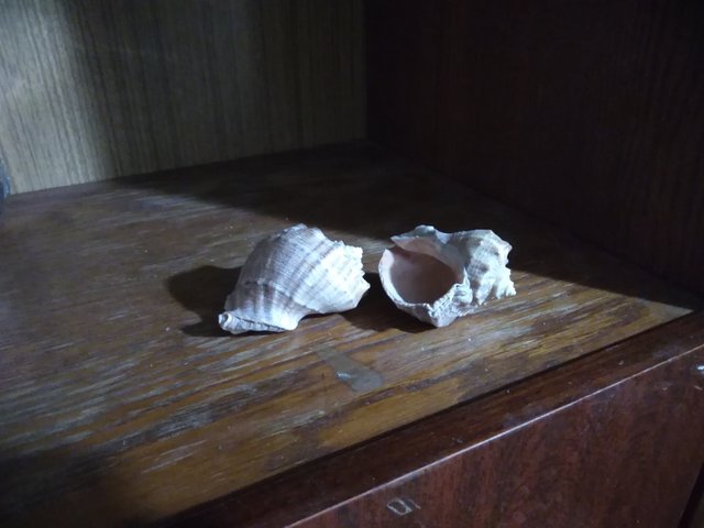 IMG_20220203_220518.jpg
