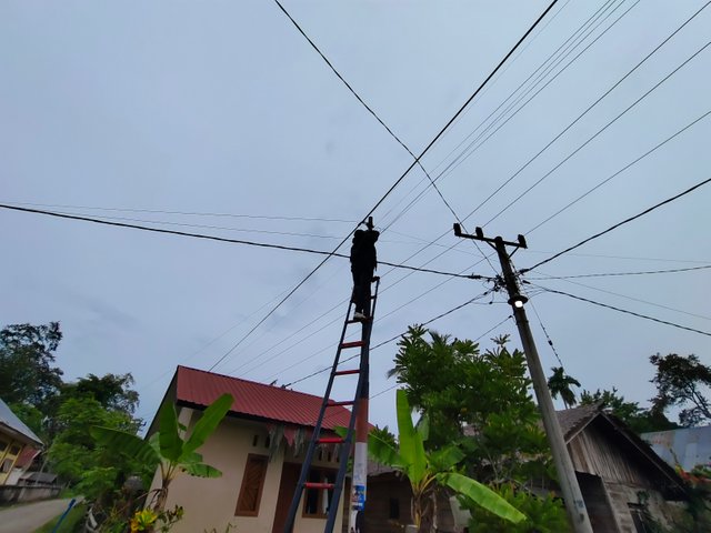 1000012008.jpg