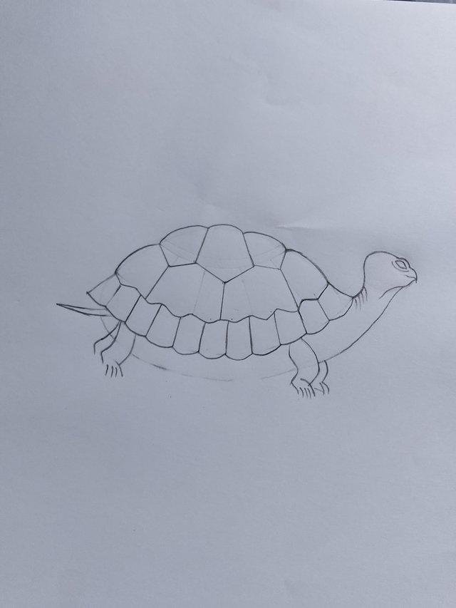 1000053264.jpg