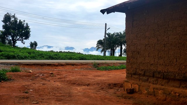 20250626_092026.jpg